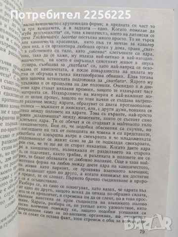 Любовта в природата, снимка 3 - Специализирана литература - 54381984