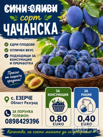 Сини сливи чачанска