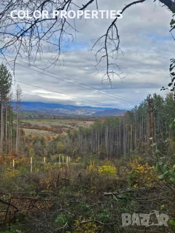 Къща за гости в с. Баня, снимка 3 - Къщи - 54830853