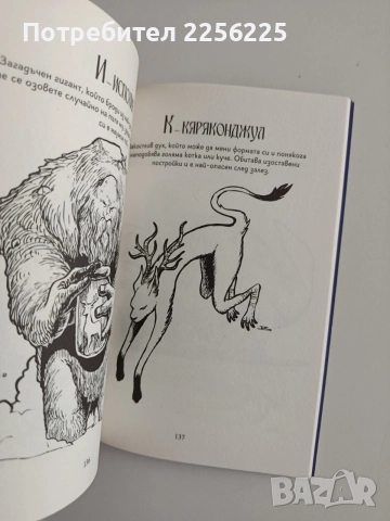 Замъкът на таласъмите, снимка 5 - Художествена литература - 55088908