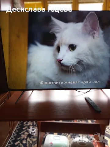Телевизор TCL MiniLed 50C6K, 50", 4K Ultra HD, 100Hz,в гаранция, снимка 4 - Телевизори - 55475792