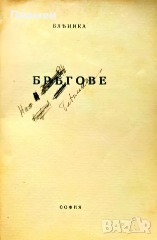 Брегове Бленика /1932/ , снимка 2 - Антикварни и старинни предмети - 55364888