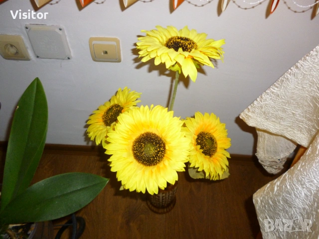 Panasonic Lumix DMC-FS18 16 MPx, снимка 10 - Фотоапарати - 54223188