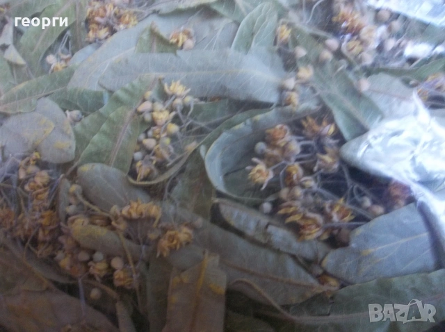 Липов цвят сух., снимка 6 - Домашни продукти - 55235655