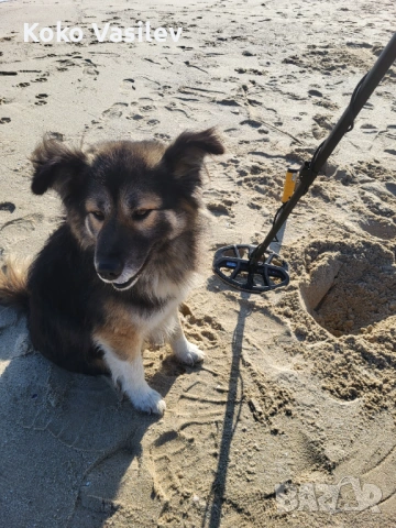 Предлагам Металотърсач Minelab Vanquish 340