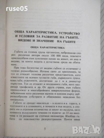 Книга "Нашите гъби - Ц.Хинкова/М.Друмева-Димчева" - 400 стр., снимка 2 - Енциклопедии, справочници - 54929593