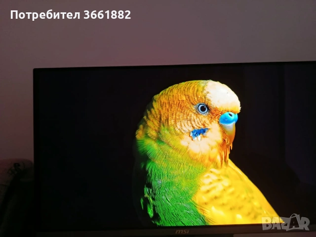 Монитор MSI 272QP X50 500hz , снимка 3 - Монитори - 55117437