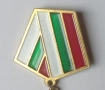 Медал „50 години от края на Втората световна война 1945–1995“, снимка 2