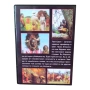 Мините на Килиманджаро DVD -R с бг аудио, снимка 2