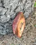Ръчно изработена дървена икона с Исус Христос (декупаж), снимка 4