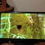32" телевизор Sang, снимка 6