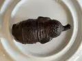 Миниатюрна статуетка на слон., снимка 5