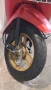 Honda tact dx 50 1980,та, снимка 3