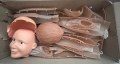 Човешкото тяло-мускули, снимка 4