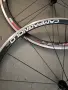 Капли колела 28 цола Campagnolo , снимка 2