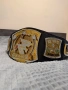 WWE Spiner Championship , снимка 2
