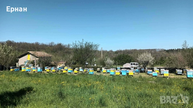 Къща в село Стойново,Община Антоново