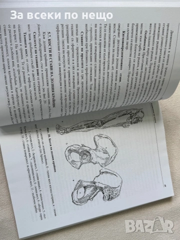 Анатомия на човека , учебник за медицински колежи, снимка 5 - Специализирана литература - 54308078