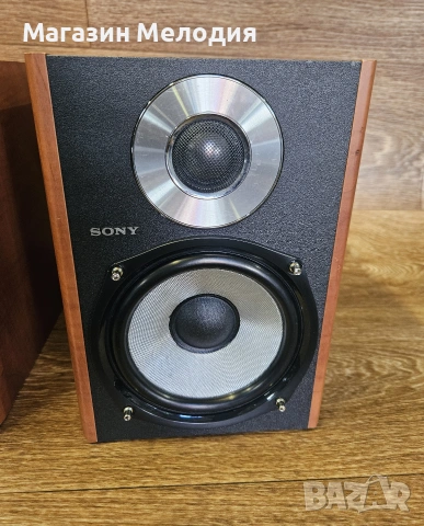 Тонколони Sony SS-CCPZ2 – Премиум звук и изключителен детайл от висок клас микро система, снимка 10 - Тонколони - 55141871