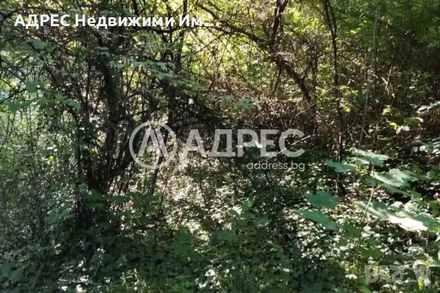 Парцел/Терен, продажба, Смолян, кв. Нов център, снимка 3 - Парцели - 55199427