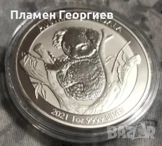 Австралия коала 2021