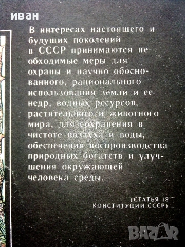 Они должны жить / Альбом, снимка 8 - Енциклопедии, справочници - 54481889