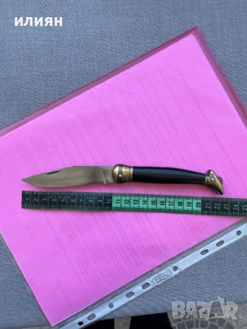 Ножка Краче. Костенец. 