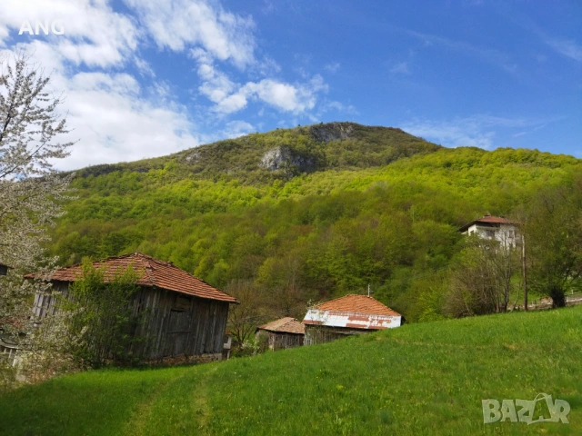 Продава къща в Родопите с.Могилица, снимка 14 - Къщи - 54490577