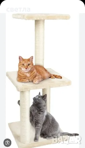 котешка катерушка 