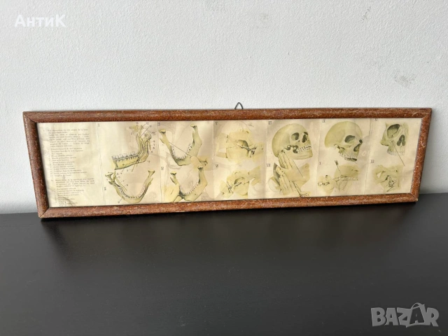 Медицинско Табло Брошура BAYER 