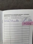 британско женско коте , снимка 3