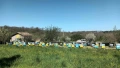 Къща в село Стойново,Община Антоново, снимка 1