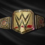 WWE UNDISPUTED CHAMPIONSHIP UNIVERSAL REPLICA BELT BRASS ADULT SIZE NEW Шампионски колан отличен, снимка 6