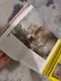 46 броя списания national geographic, снимка 3