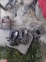 предни задни спирачни апарати за пежо 307 1.6 хди 109к.с 2008г 10 е бр, снимка 2