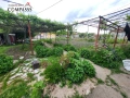 с. Ген. Колево, Обл. Добрич, къща с дворно място – 26000евро!, снимка 6