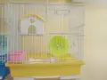 Нова!!Клетка за гризачи хамстер,мини хамстер, снимка 2