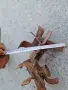 Мотички Мотофреза, снимка 4