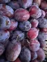 Продавам пресни домашни сливи  , снимка 1