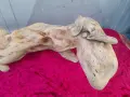 Декоративно изделие от дърво, снимка 2