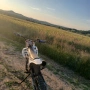 pit bike кросов мотор 125 м³ TelStar , снимка 5