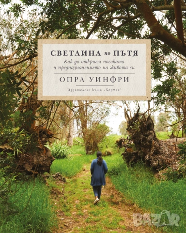 Светлина по пътя