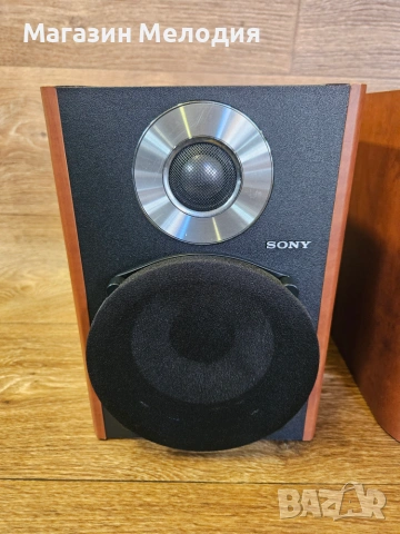 Тонколони Sony SS-CCPZ2 – Премиум звук и изключителен детайл от висок клас микро система, снимка 4 - Тонколони - 55141871