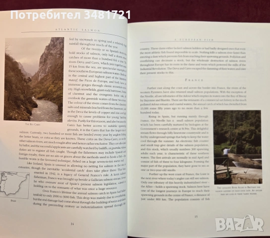 Атлантическата сьомга - илюстриран справочник / Atlantic Salmon. An Illustrated History, снимка 5 - Енциклопедии, справочници - 54956938