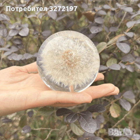 FUFIZU Кристална топка-глухарче, снимка 7 - Декорация за дома - 54090656