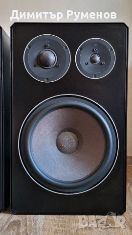 Тонколони Braun LS100 / 10 inch, снимка 2 - Тонколони - 54860893