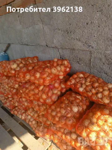 Продавам зрял лук