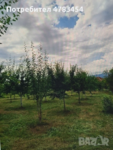 Парцел в регулация Овощна градина , снимка 3 - Парцели - 54801013