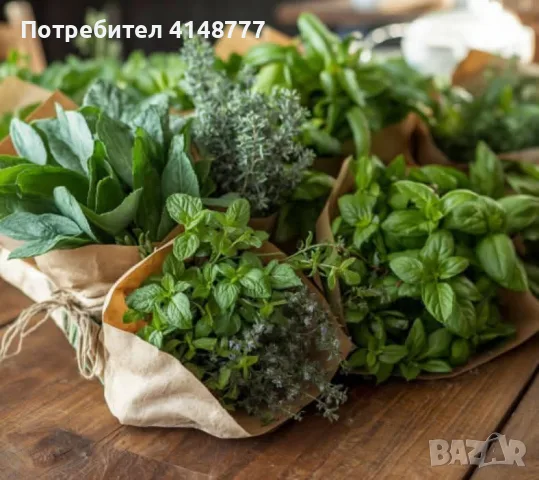🌿 Букет Свежи Билки Мix– Свежи Градински Билки! , снимка 2 - Градински цветя и растения - 55502449