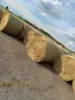 Рулонни бали меко сено, снимка 1
